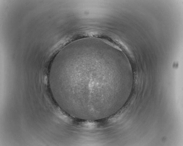 X0000094180313200711021011