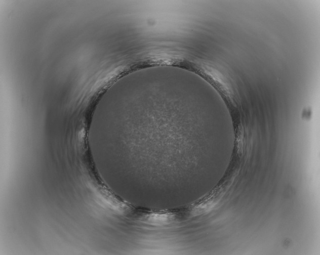 X0000094180314200711021011