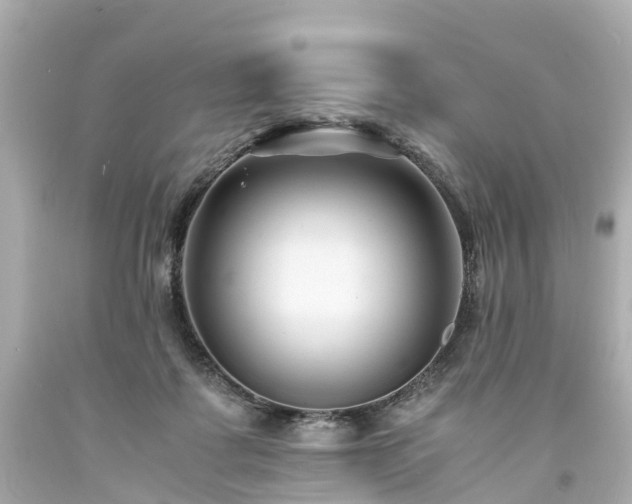 X0000094180315200711021011