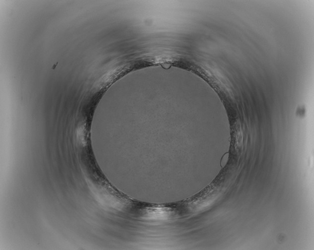X0000094180316200711021011