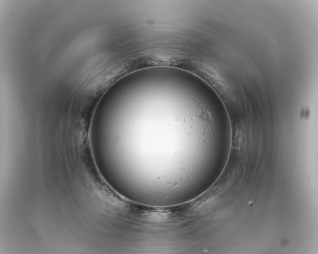 X0000094180318200711021011