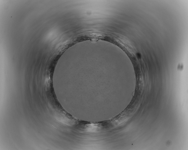 X0000094180320200711021011