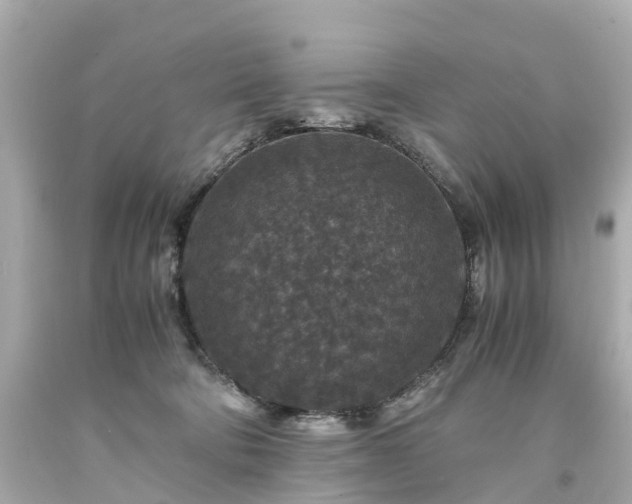 X0000094180322200711021011