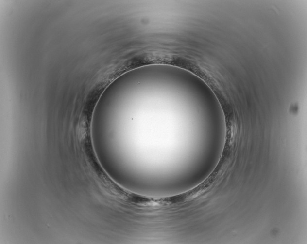 X0000094180323200711021011