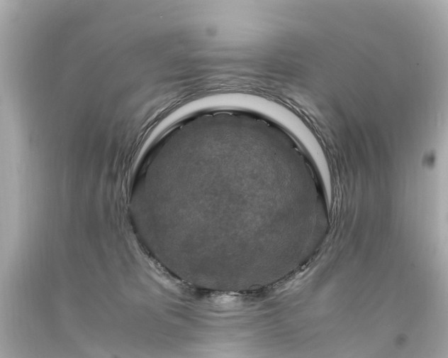 X0000094180325200711021011