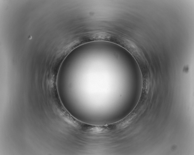 X0000094180326200711021011