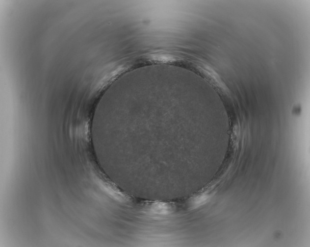 X0000094180330200711021011