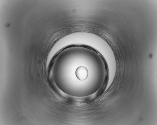 X0000094180333200711021011