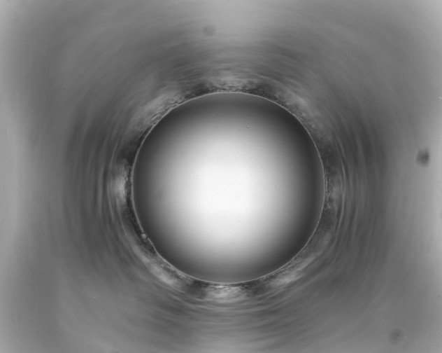 X0000094180334200711021011