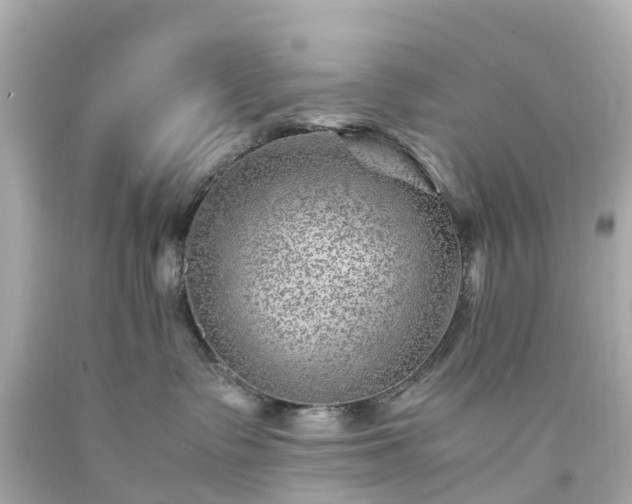 X0000094180335200711021011