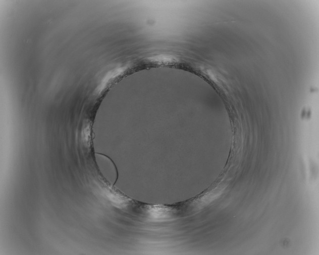 X0000094180336200711021011
