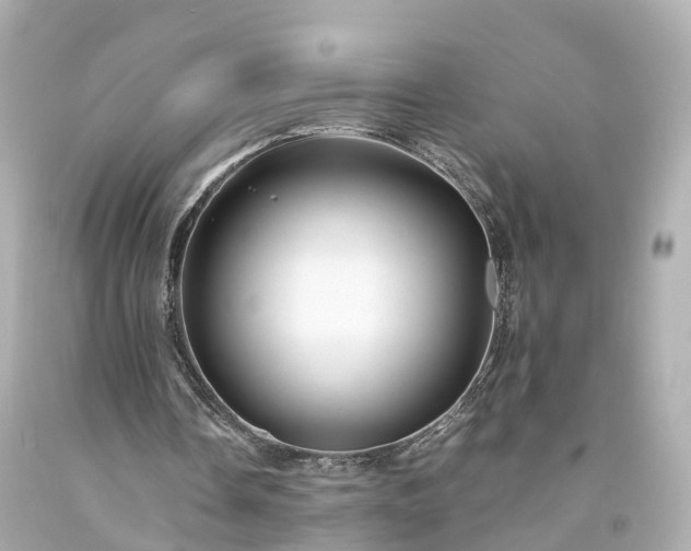X0000094180338200711021010