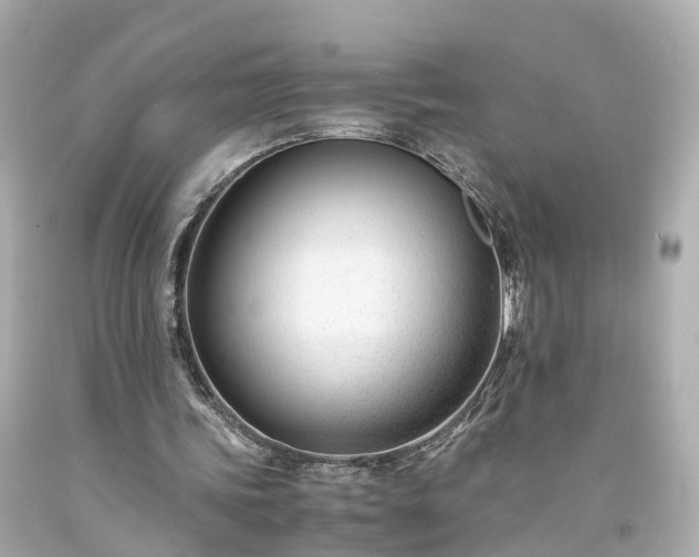 X0000094180339200711021010