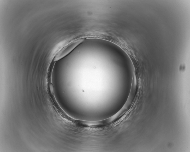 X0000094180340200711021010