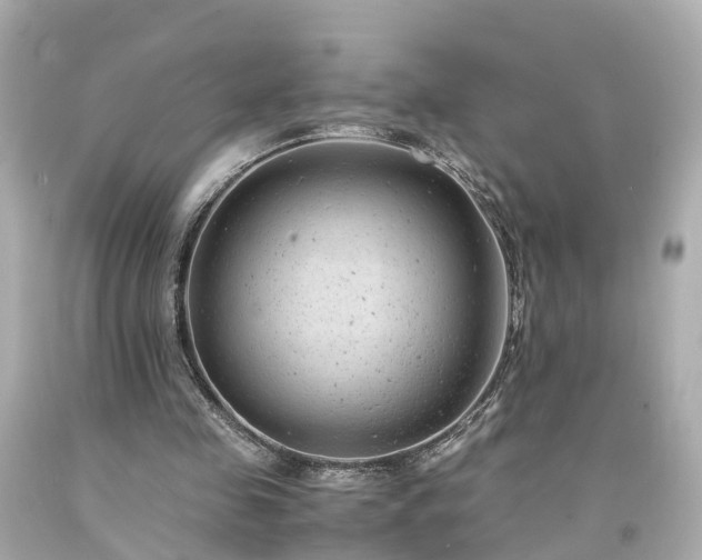 X0000094180341200711021010