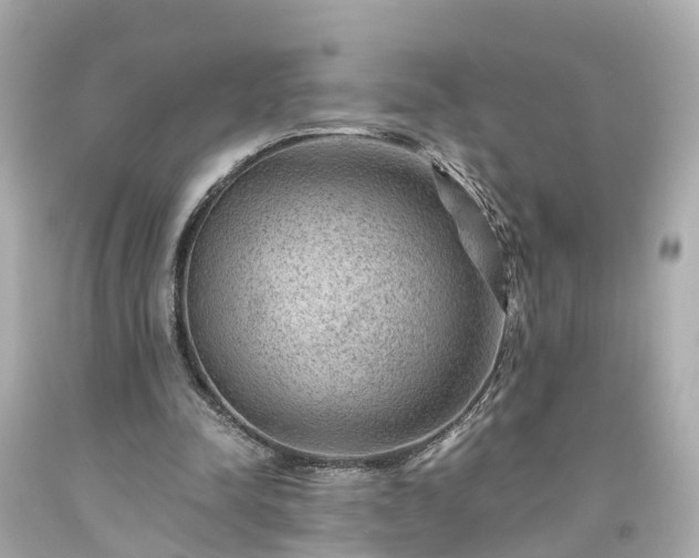 X0000094180342200711021010