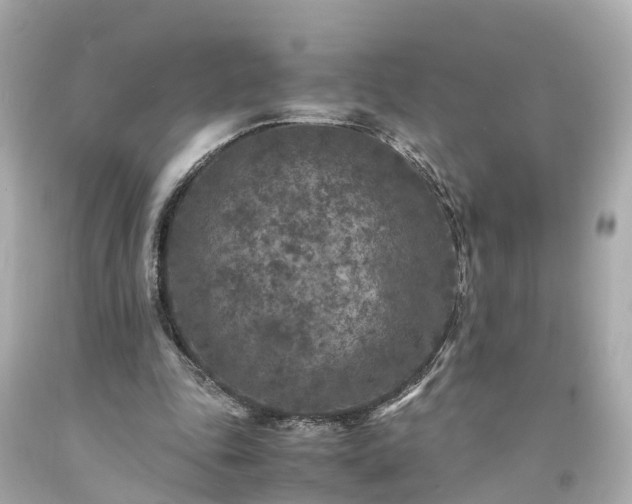 X0000094180343200711021010