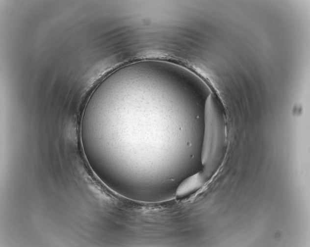 X0000094180345200711021010