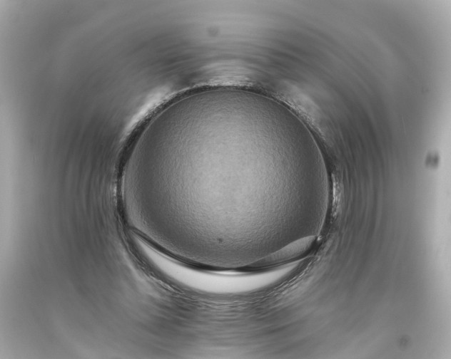 X0000094180348200711021010