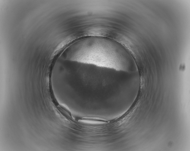 X0000094180349200711021010