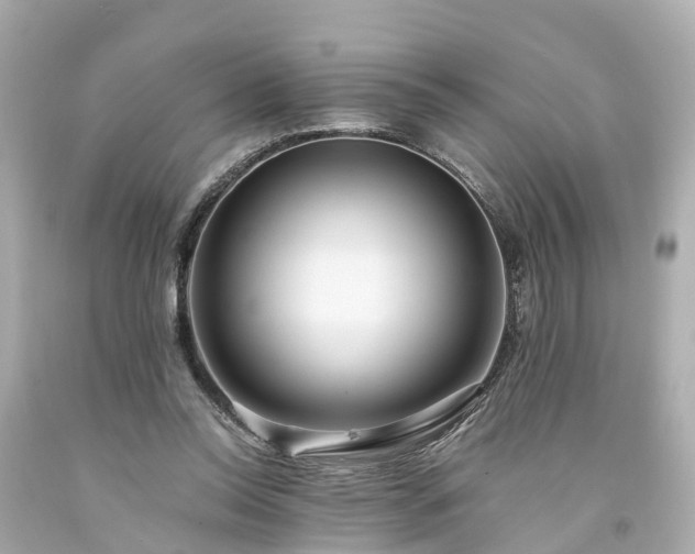 X0000094180350200711021010