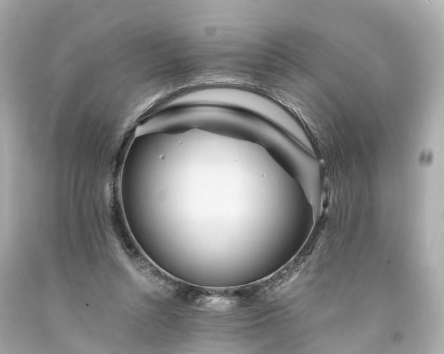 X0000094180352200711021010