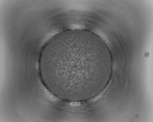 X0000094180353200711021010