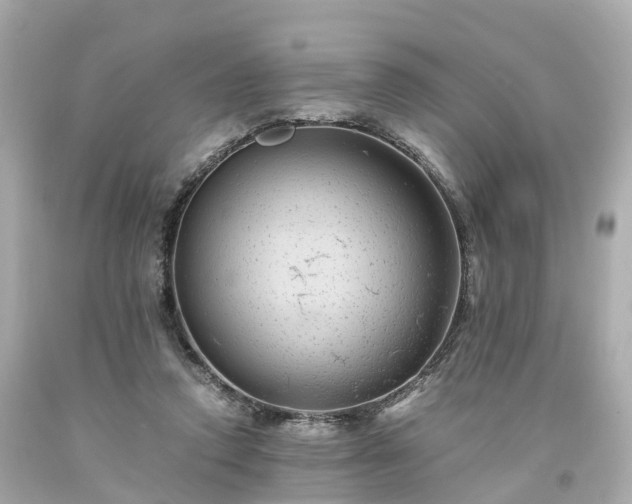 X0000094180354200711021010