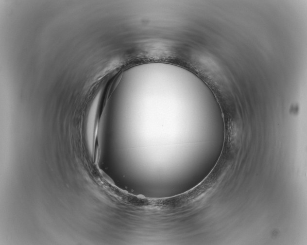 X0000094180356200711021010