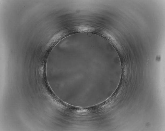 X0000094180357200711021010