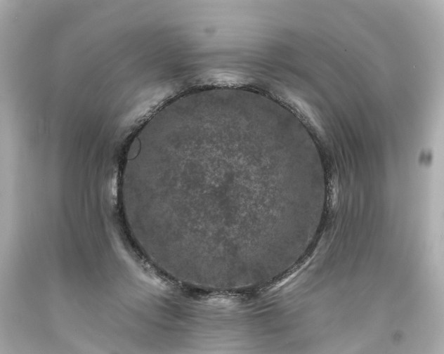 X0000094180358200711021010