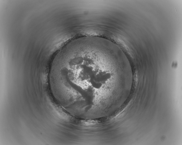 X0000094180359200711021010