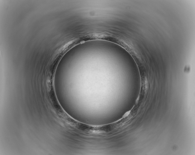 X0000094180360200711021010