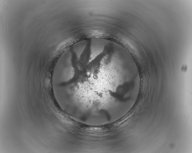 X0000094180361200711021010