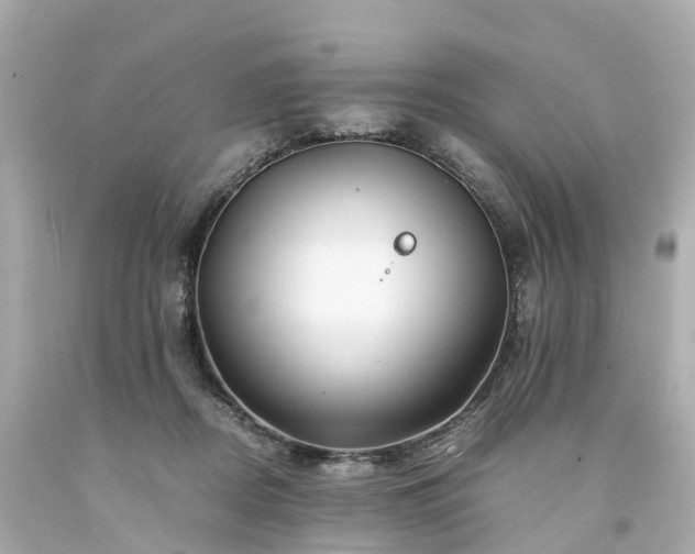 X0000094180362200711021010