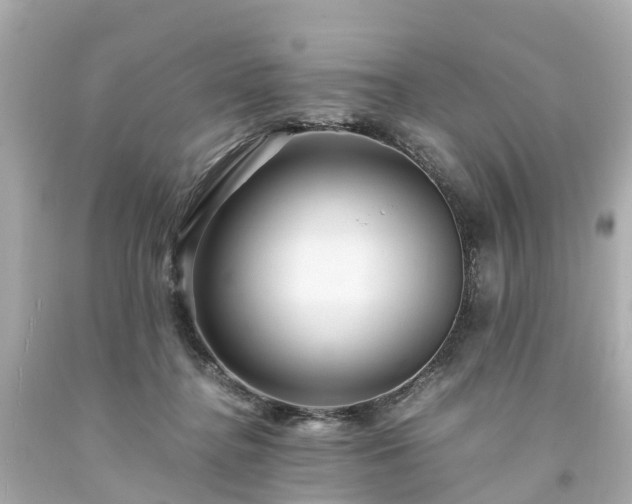 X0000094180364200711021011