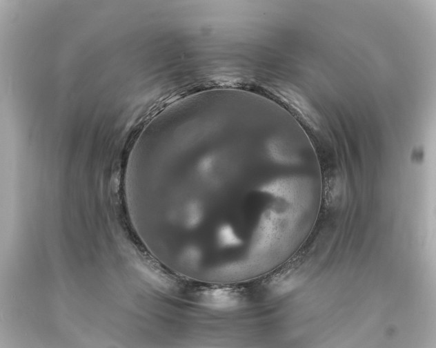 X0000094180365200711021011