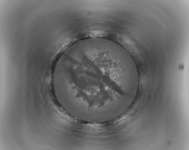 X0000094180367200711021011