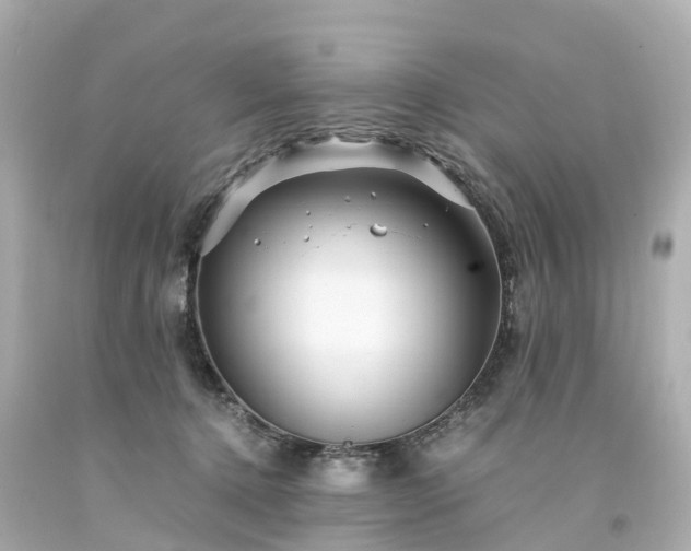 X0000094180368200711021011