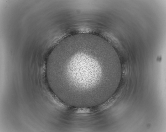 X0000094180369200711021011