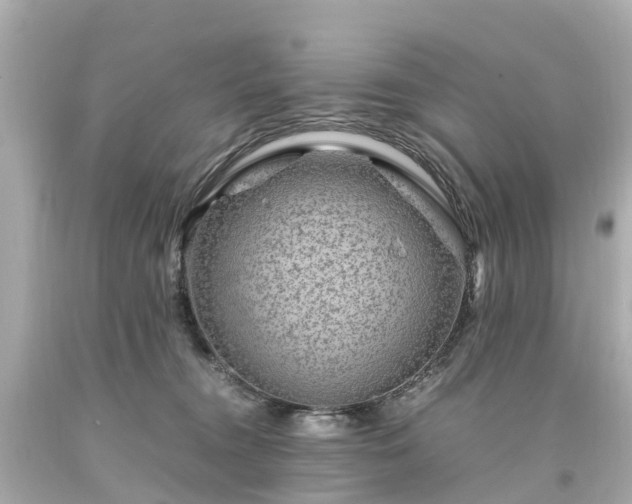 X0000094180372200711021011