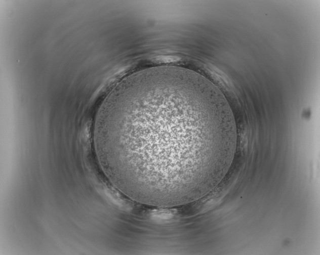 X0000094180373200711021011