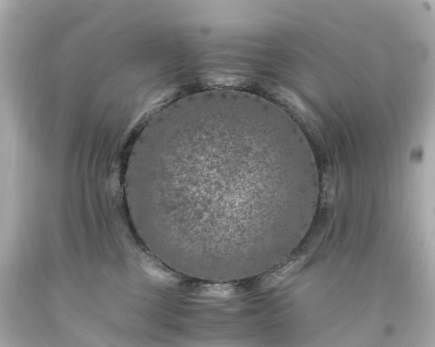 X0000094180377200711021011