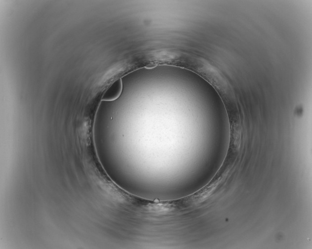 X0000094180378200711021011