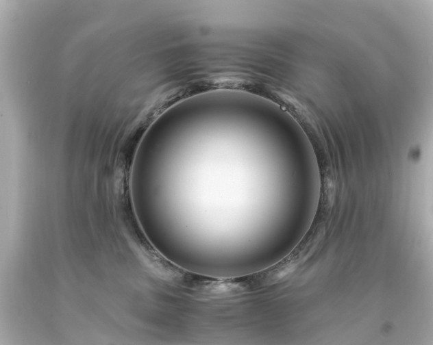 X0000094180379200711021011