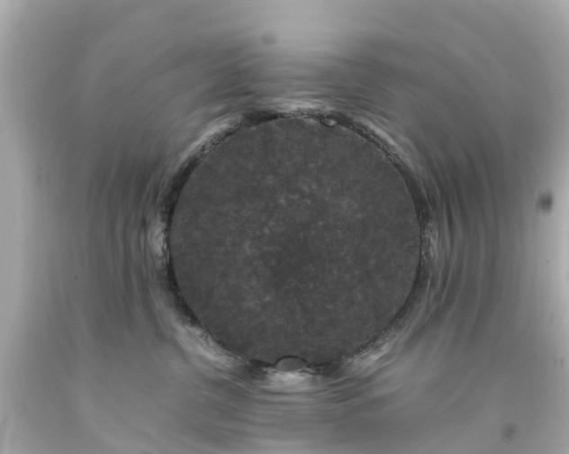 X0000094180380200711021011