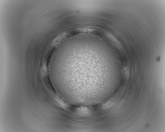 X0000094180381200711021011