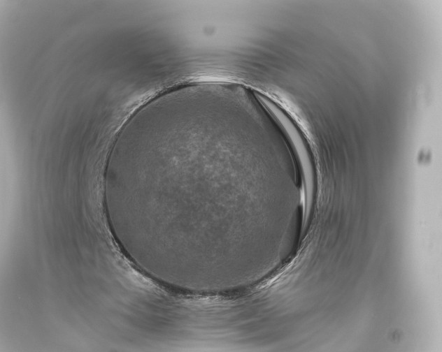 X0000094180385200711021010