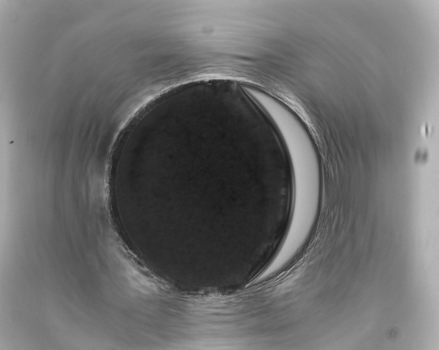 X0000094180387200711021010