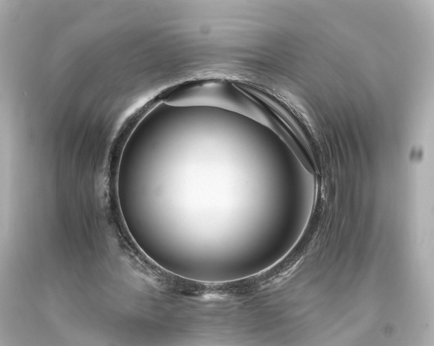 X0000094180388200711021010